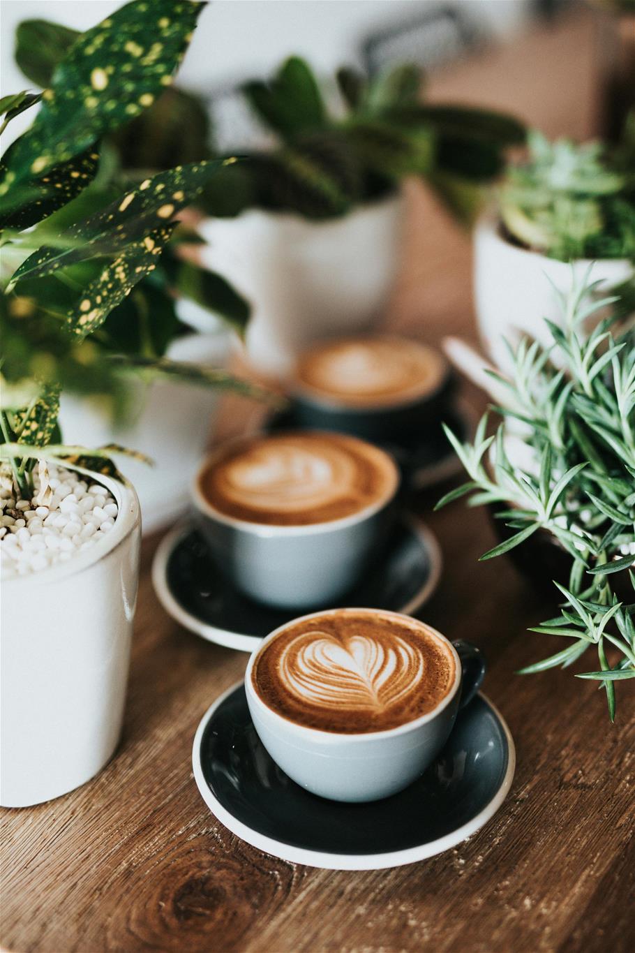 Annie Spratt/Unsplash